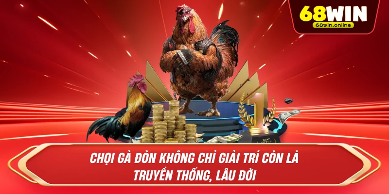 Chọi gà đòn không chỉ giải trí còn là truyền thống, lâu đời